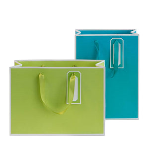 Geschenktüten Vers. Farben - Schmidt's Papeterie