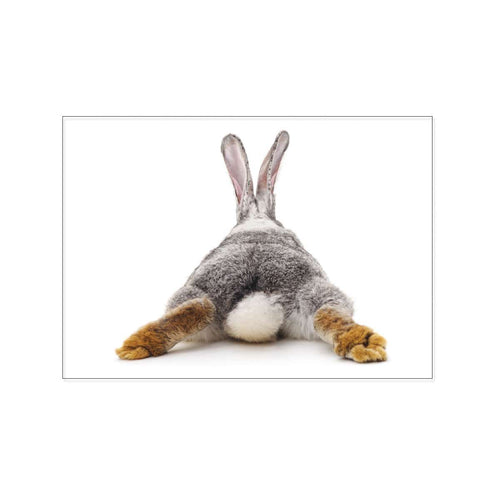 'Hase von hinten'
