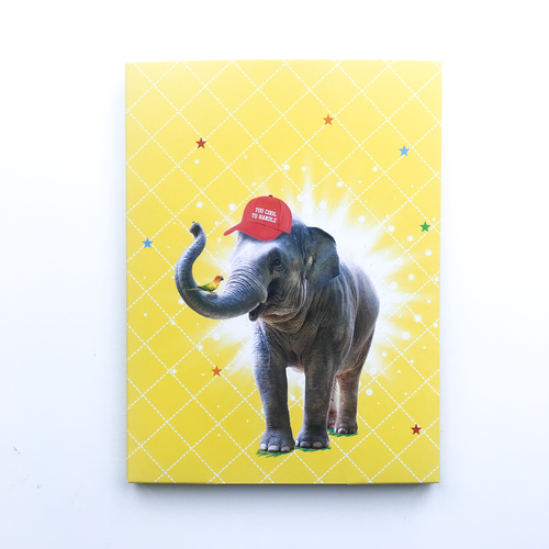 Brief-Set Elefant - Schmidt's Papeterie