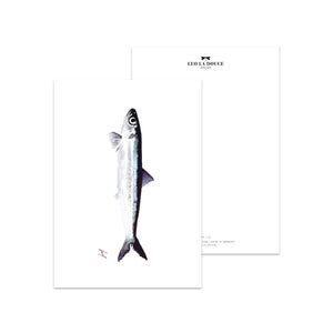 Fish - Schmidt's Papeterie