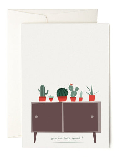 Cactus Collection - Schmidt's Papeterie