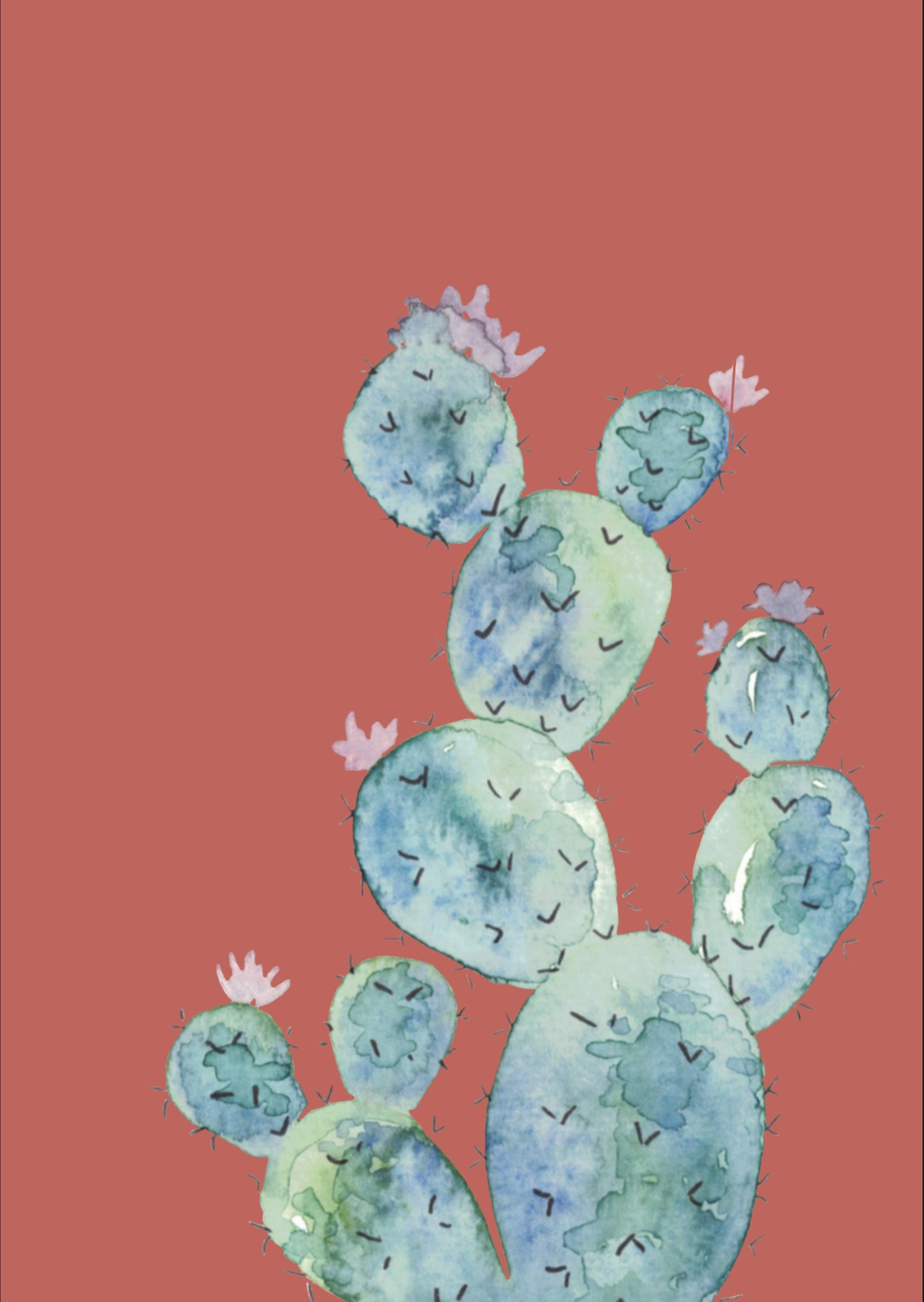 Postkarte - Kaktus - Schmidt's Papeterie