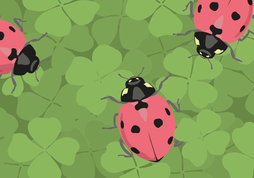 Lady Bug - Schmidt's Papeterie